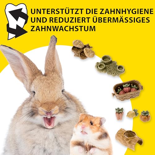 ferplast-nat-rlicher-nager-snack-stammform-f-r-hamster-meerschweinchen-und-kanin image 8
