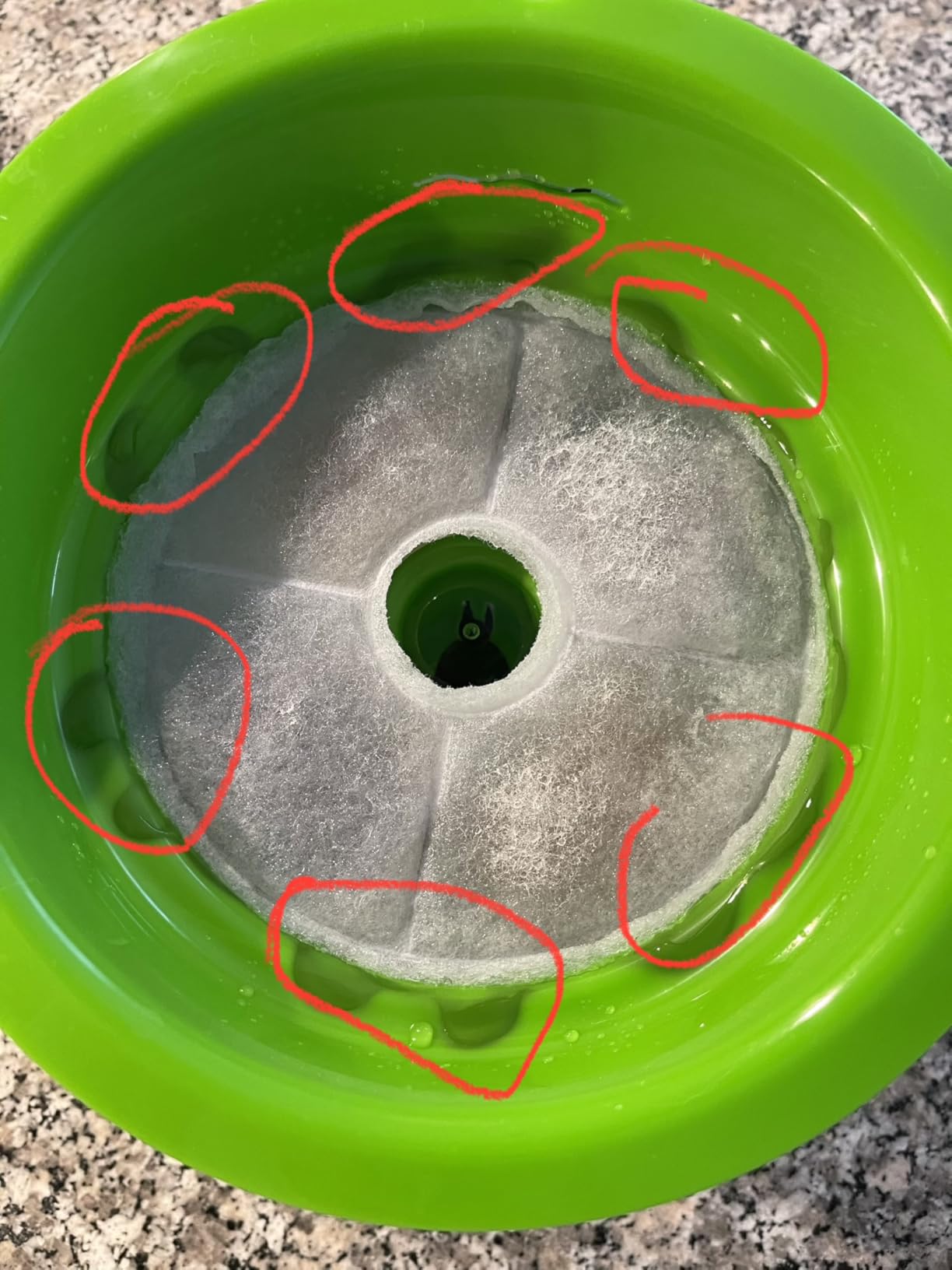 Nach 3 Wochen immer noch begeistert und meine scheue Katze traut sich jetzt auch an das fließende Wasser heran, weil man die Blume abnehmen und den Strahl verstellen kann, super durchdacht!