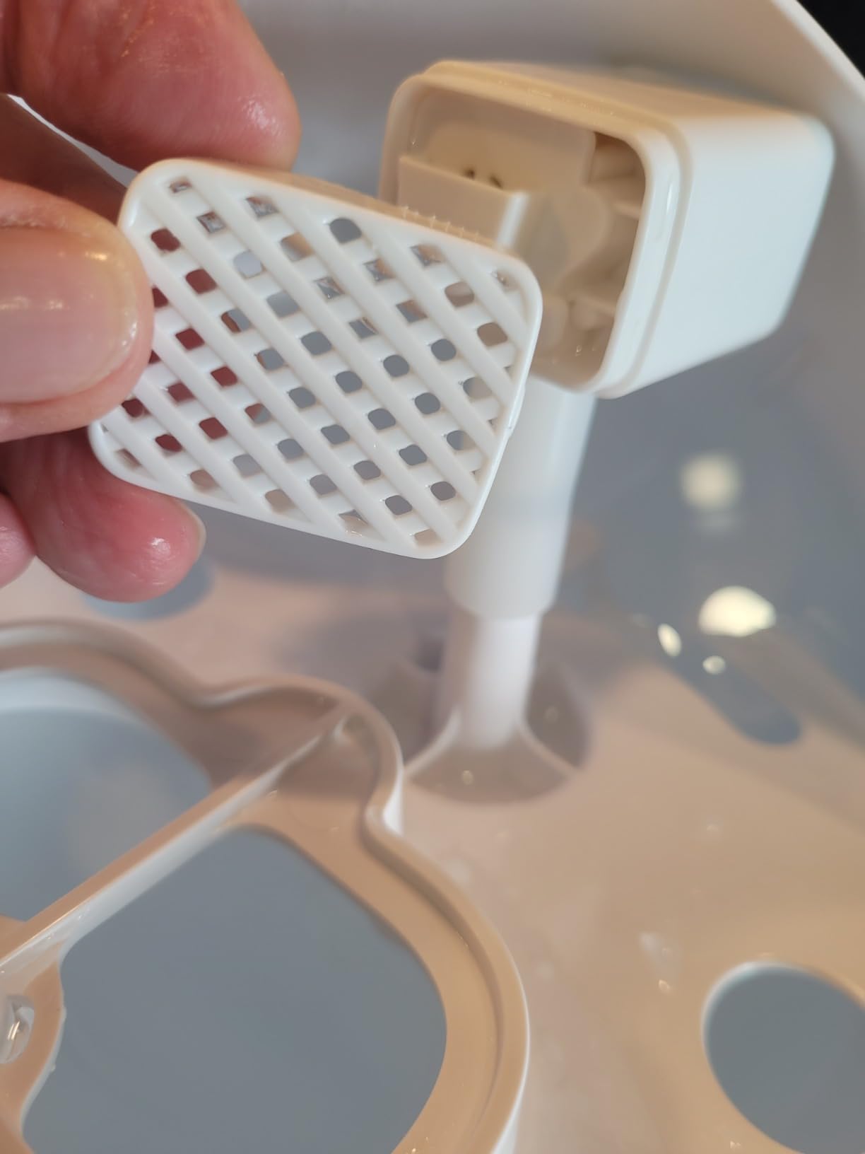 Endlich Wasserspender ohne Kleinkram