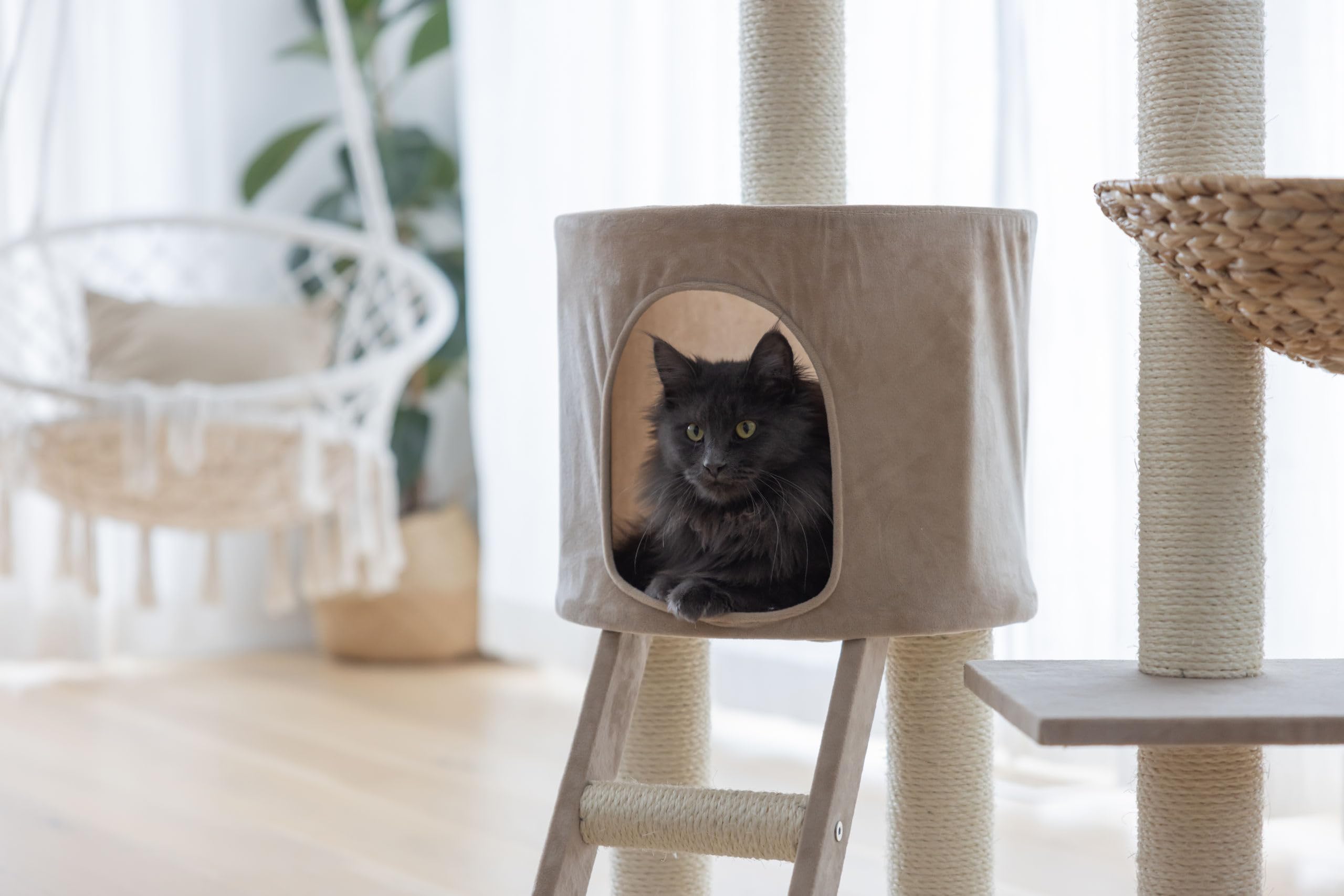 kerbl-pet-kratzbaum-banana-leaf-waxy-beige-60x40x103-cm-mit-h-hle image 3