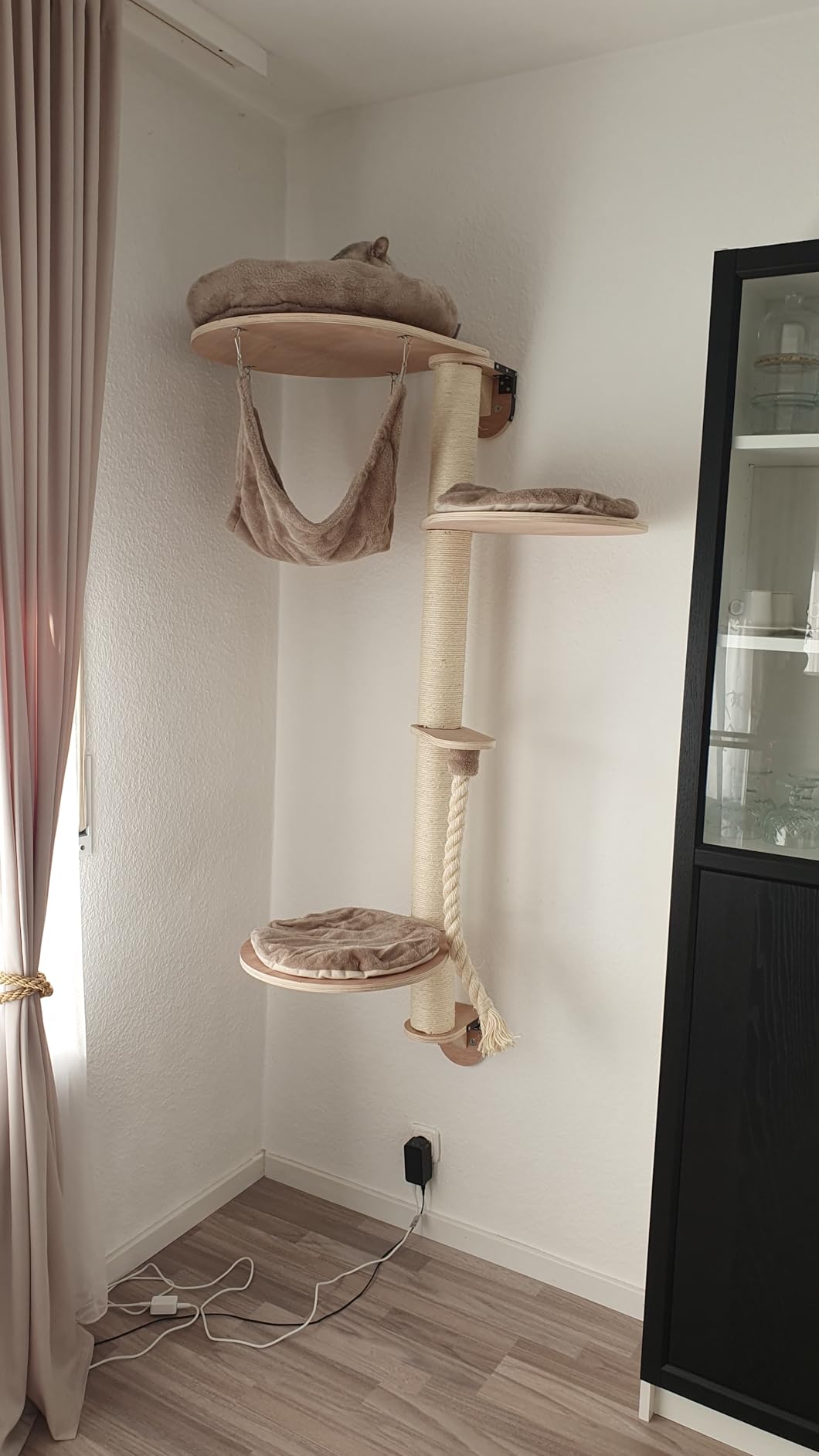 Meine Seniorin kratzt wieder