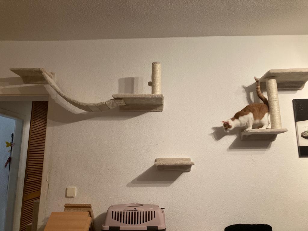 Wird geliebt