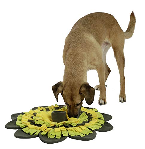 kerbl-pet-schn-ffelteppich-sunflower-f-r-hund-und-katze-gelb-gr-n-40-cm image 8