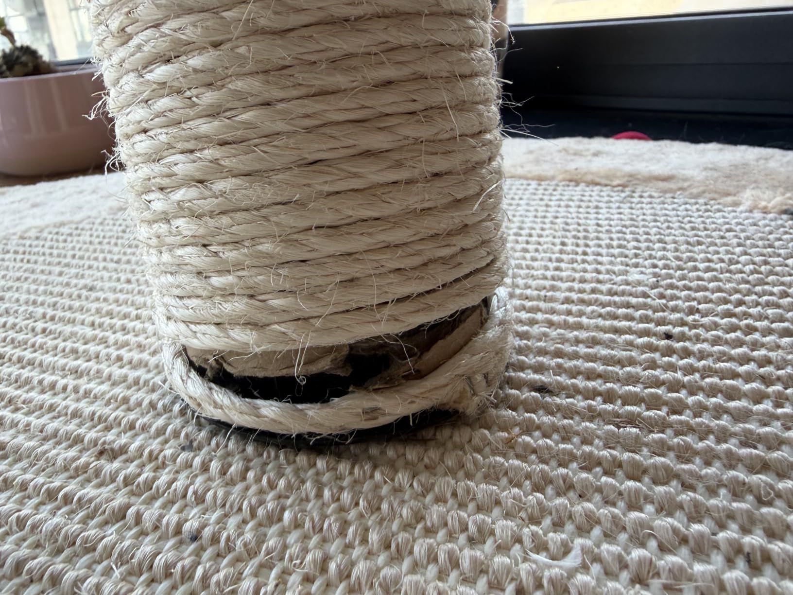 Klare Empfehlung für zwei Katzen