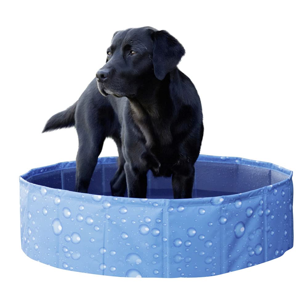 kerbl-pet-hundepool-bubble-blau-120-x-30-cm-kratzfestes-pvc image 4
