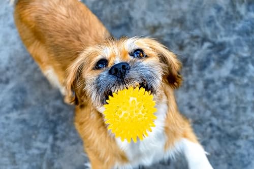 karlie-igelball-hundespielzeug-tpr-gelb-durchm-8-cm image 6