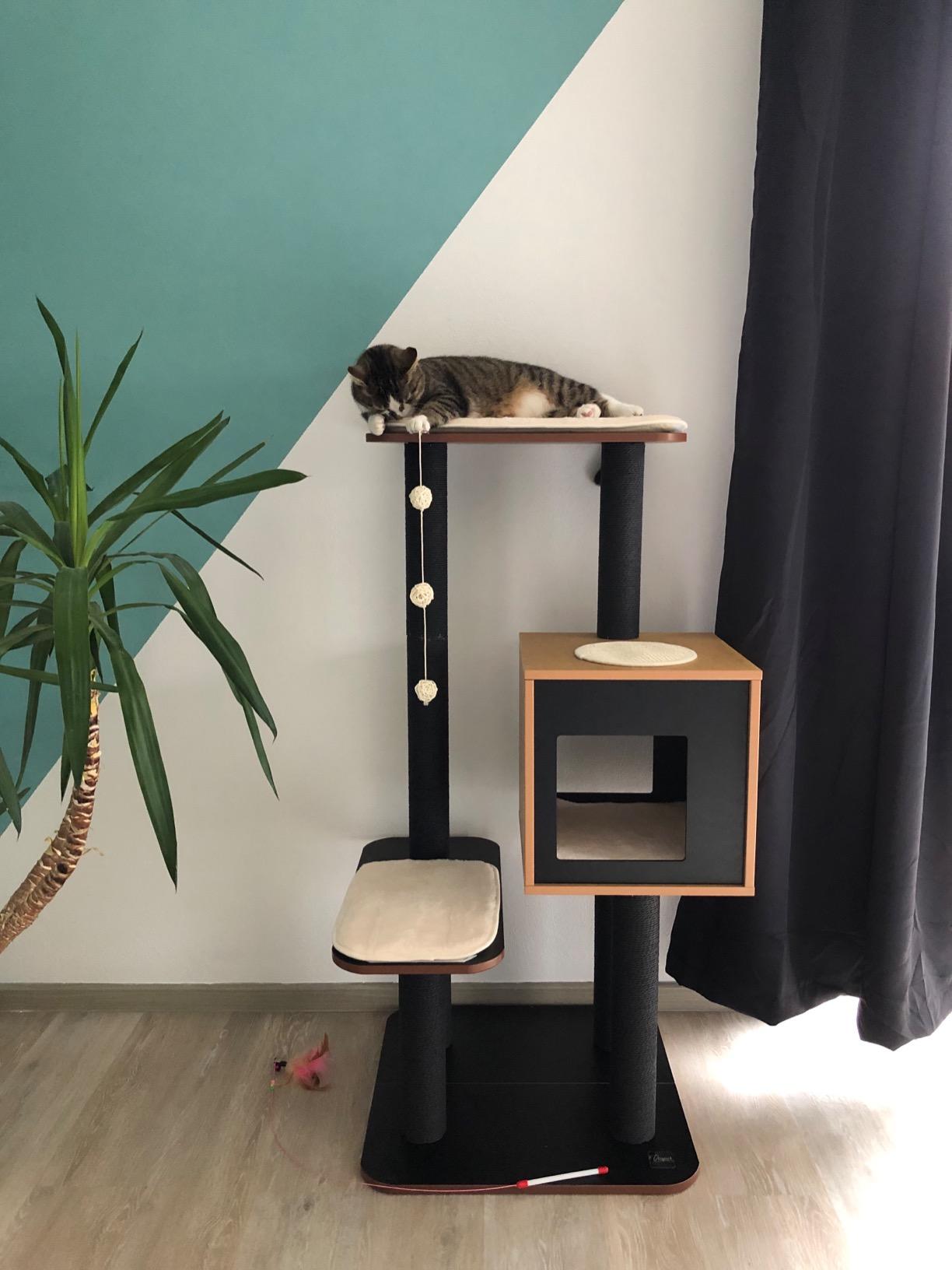 Leider nicht für unsere Angstkatze