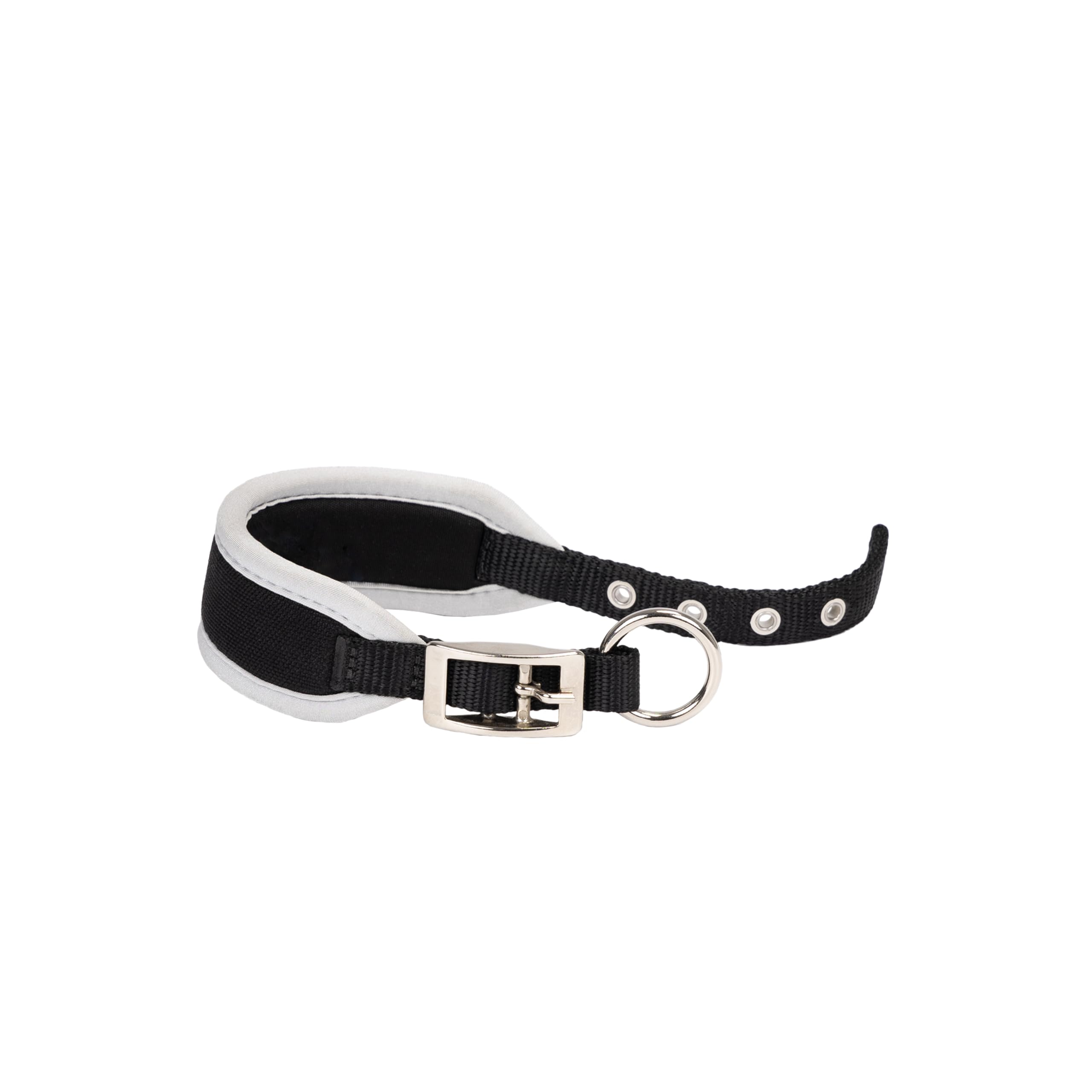 ferplast-ergocomfort-windhund-hundehalsband-cw15-32-nylon-mit-polsterung-silber- image 2