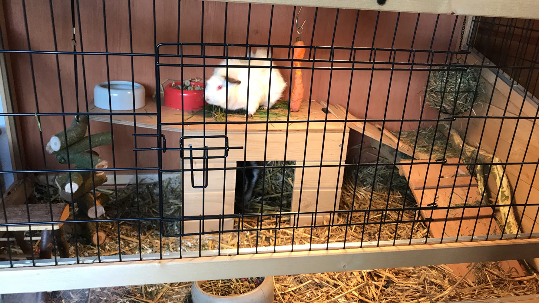 Palast für unsere Meerschweinchen