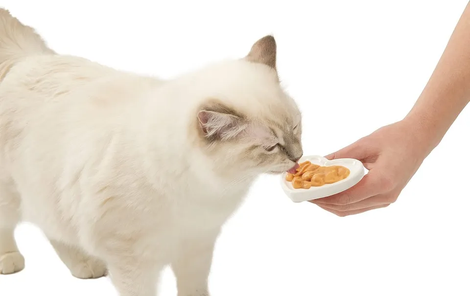 catit-creamy-katzensnack-huhn-und-truthahn-4-x-10-g image 1