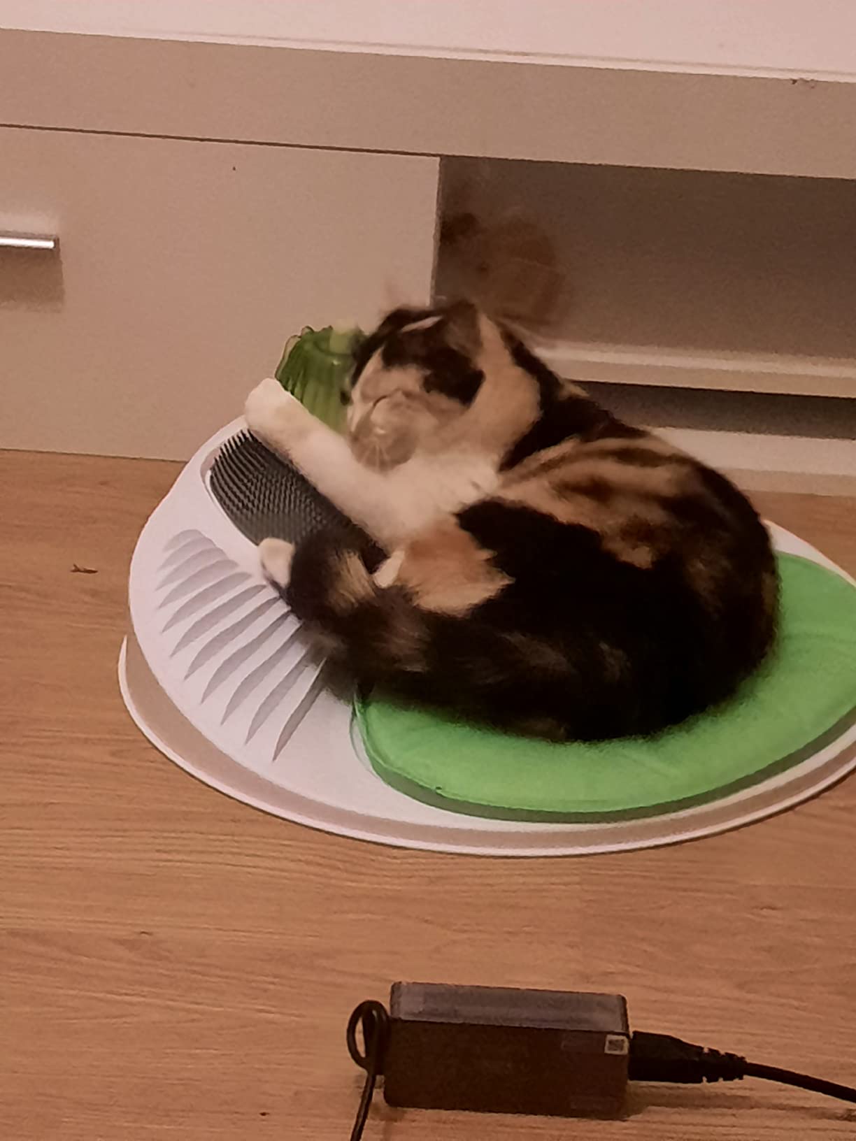 Spa für meine Diva
