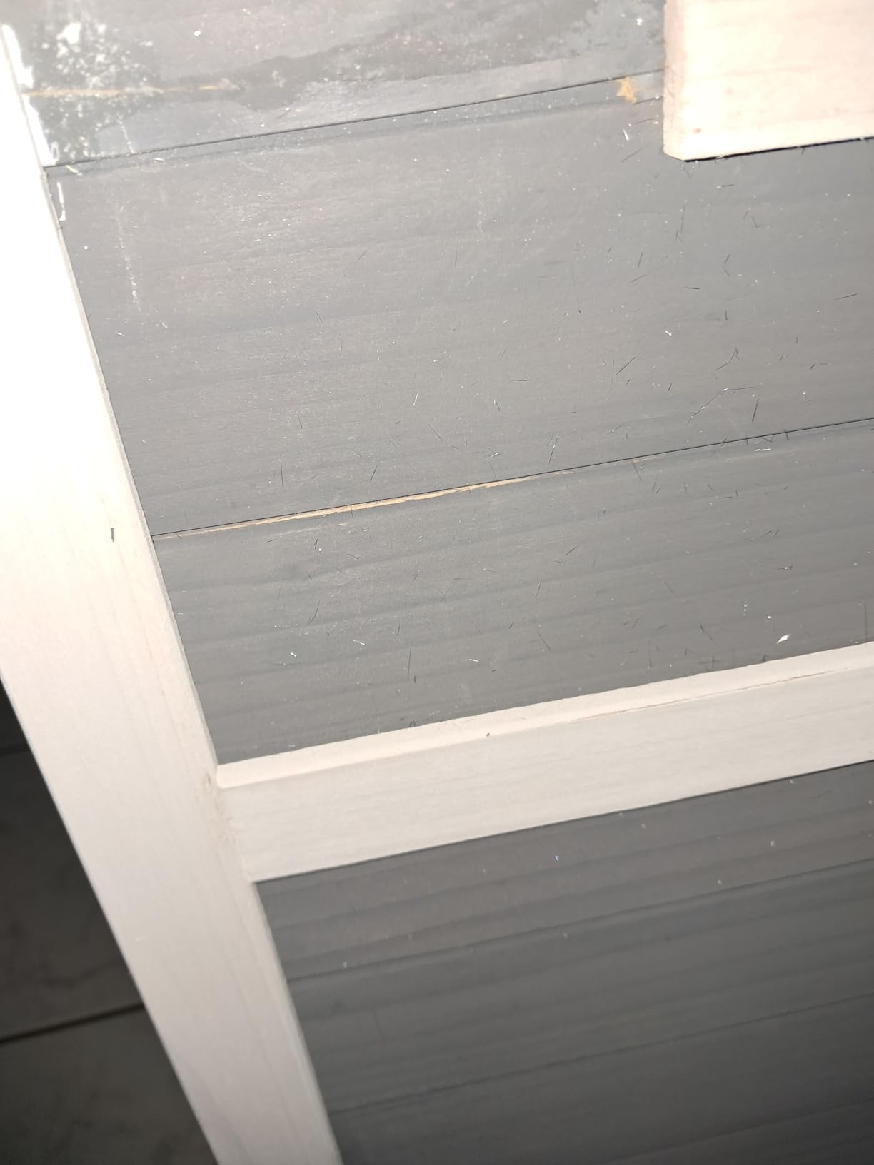Schneller Aufbau, Katze glücklich