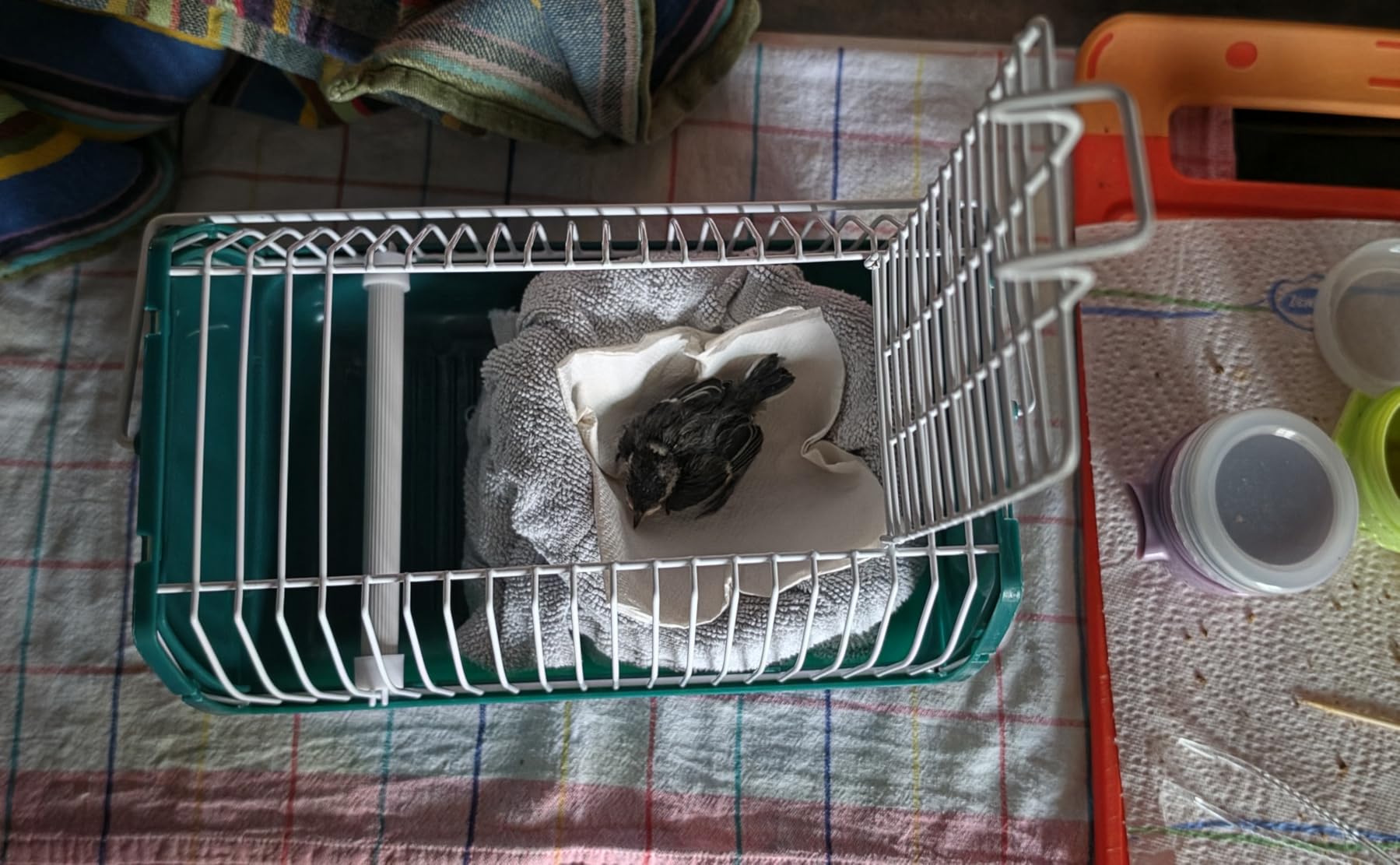 Ideal für Hamster zum Tierarzt