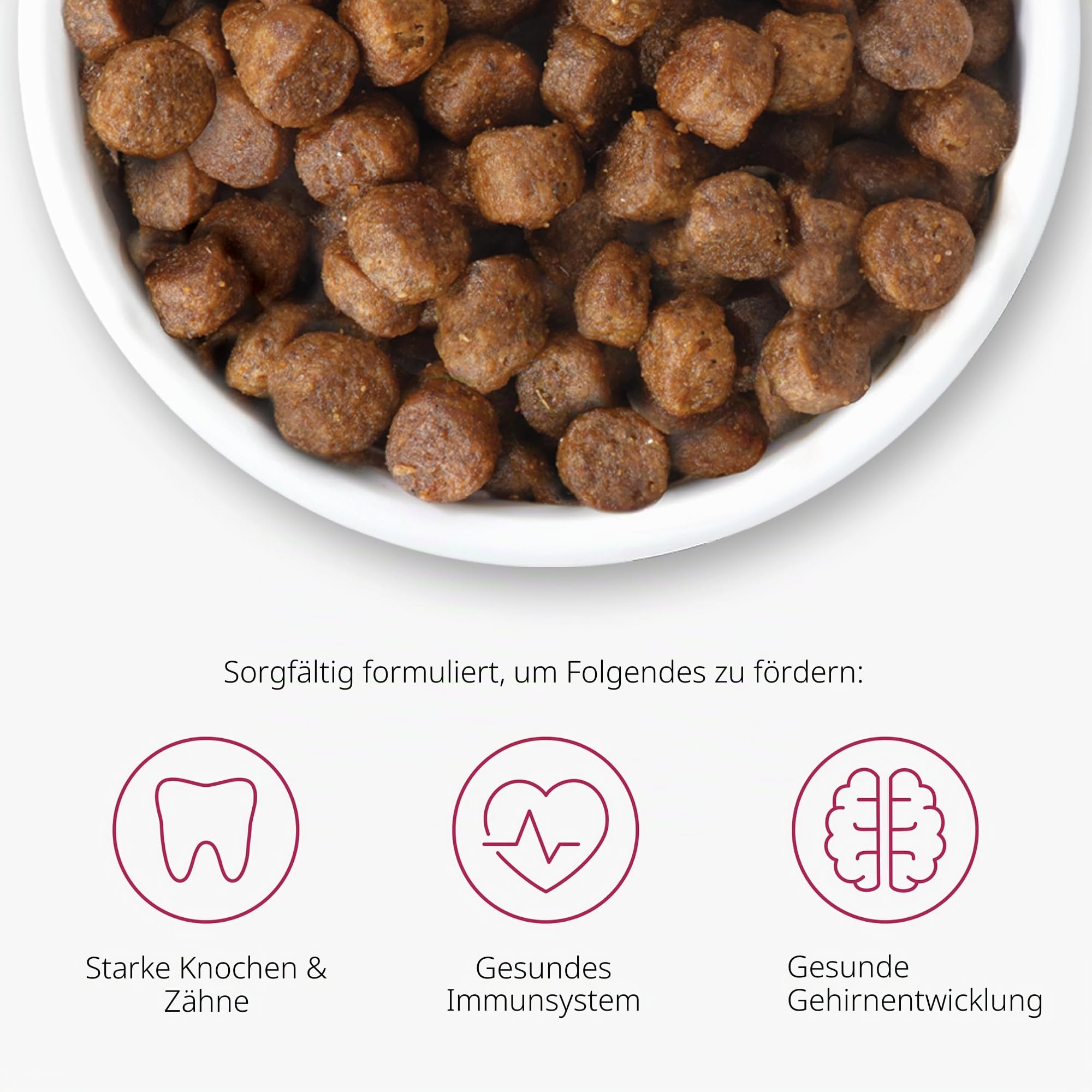 catit-recipes-kitten-trockenfutter-gefl-gel-400-g-getreidefrei image 5