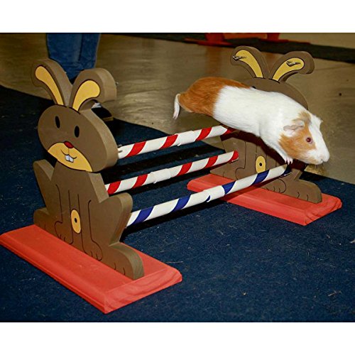 kerbl-pet-agility-nagerh-rde-62-x-33-x-34-cm image 7