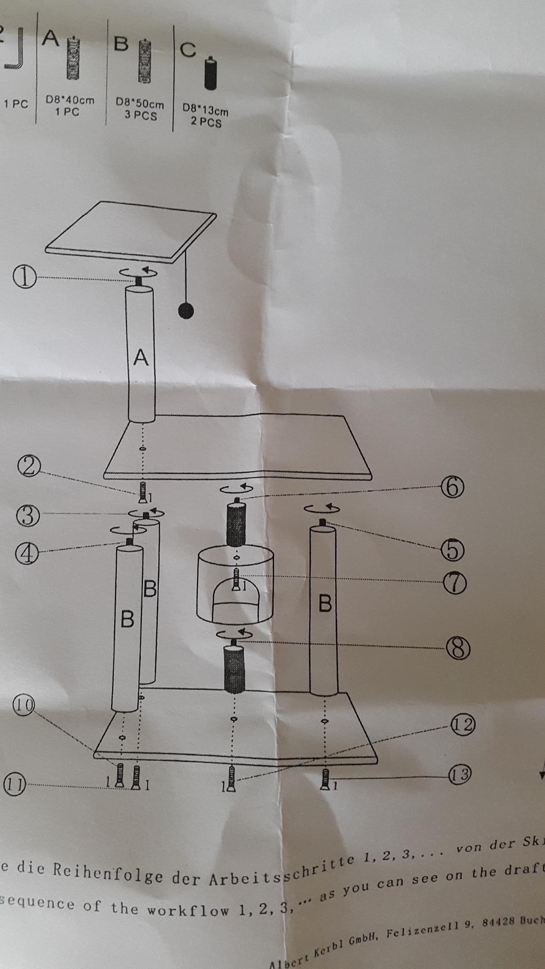 Enkelkatze glücklich