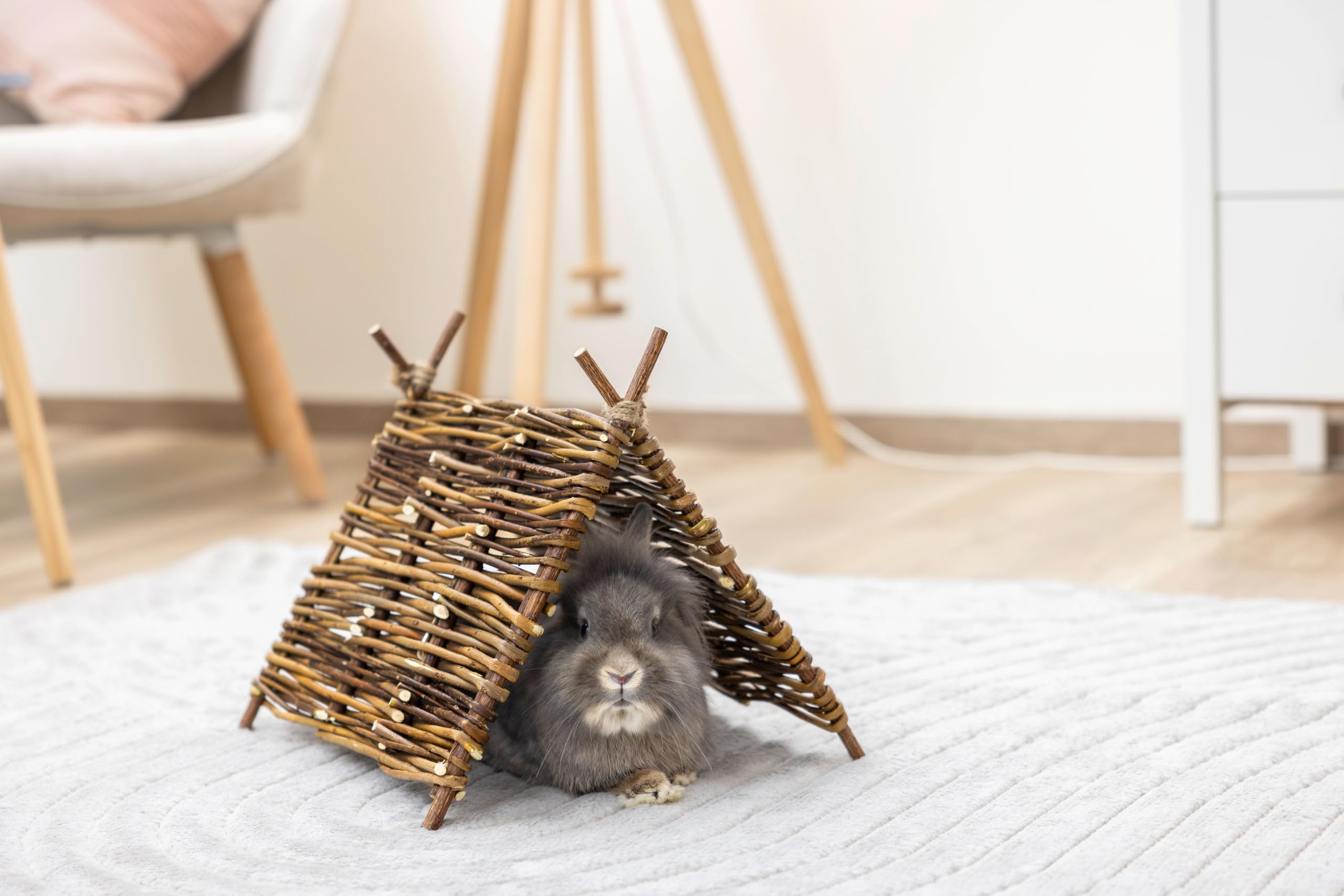 kerbl-pet-nature-tipi-zelt-37x27-cm-f-r-kaninchen-und-nagetiere image 2