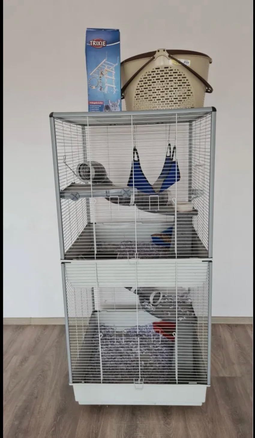 Perfekt für unsere drei Ratten
