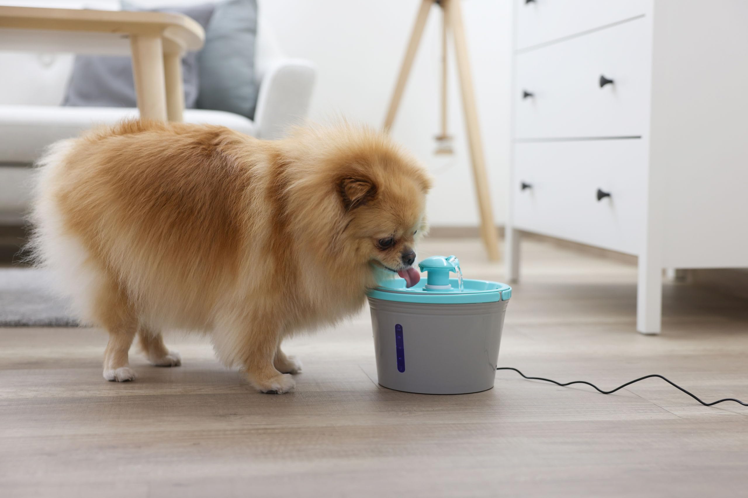 kerbl-pet-trinkbrunnen-1-6-l-grau-blau image 6