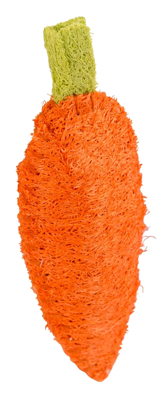 kerbl-pet-karotte-aus-luffa-f-r-nager-10-cm image 1