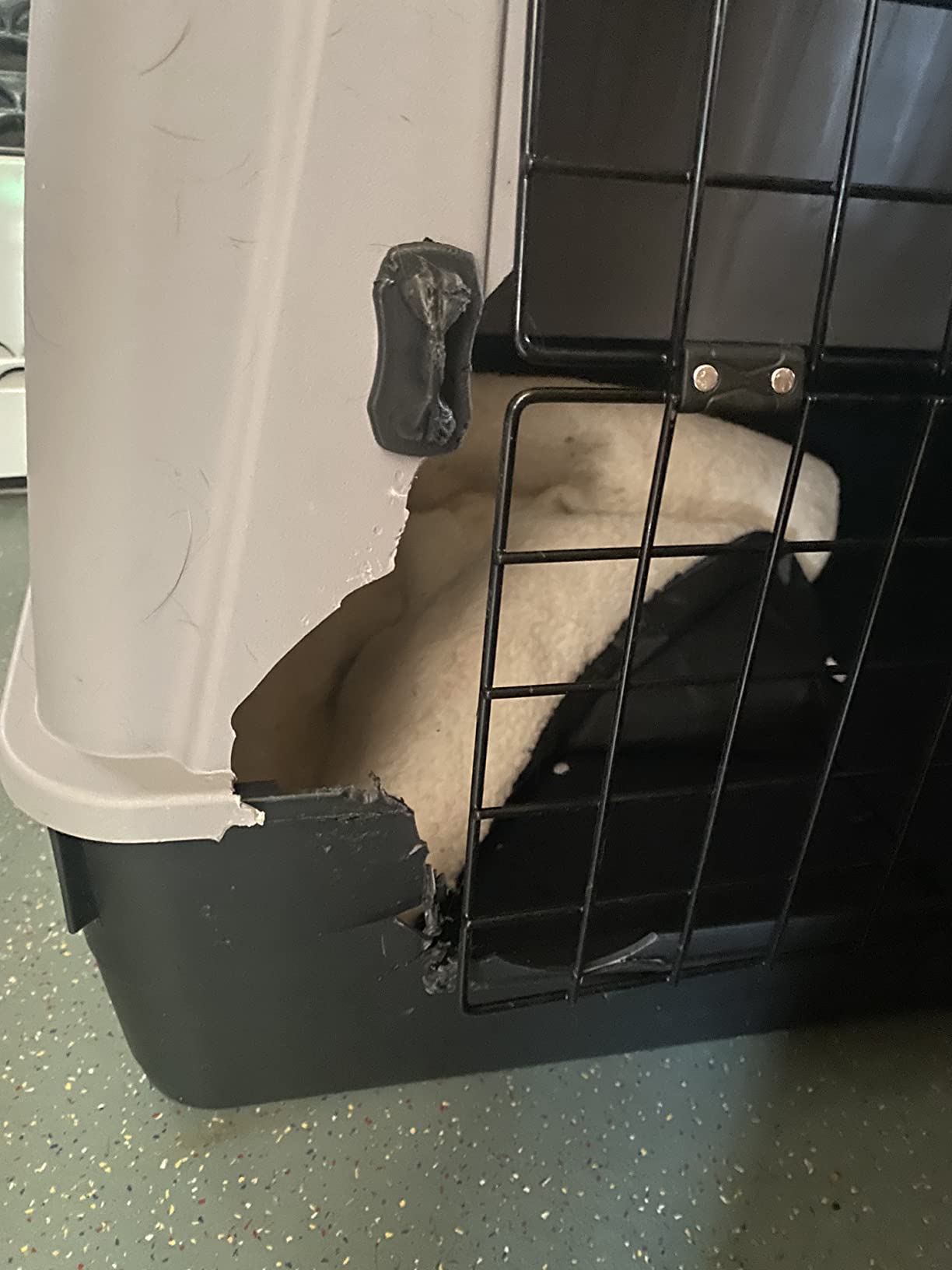 Sicherer Transport für unseren Kater