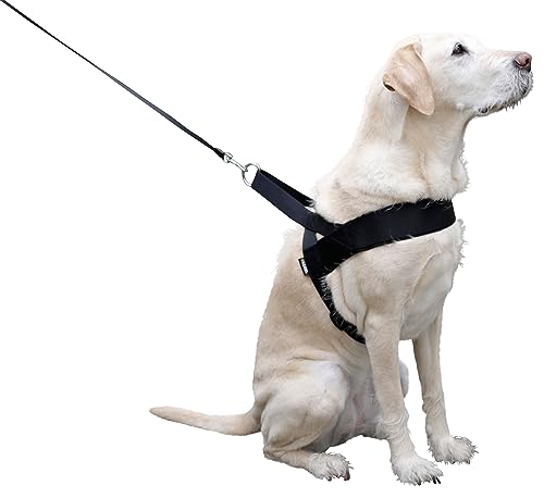kerbl-pet-miami-plus-hundegeschirr-60-75-cm-hals-40-cm-40-mm-schwarz image 8