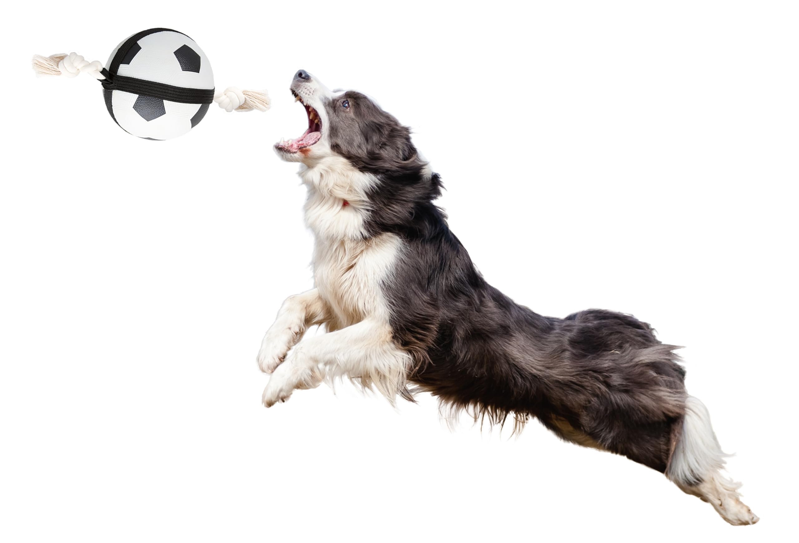 karlie-action-fu-ball-hundespielzeug-gummi-schwarz-wei-40x12-5x12-5-cm image 4