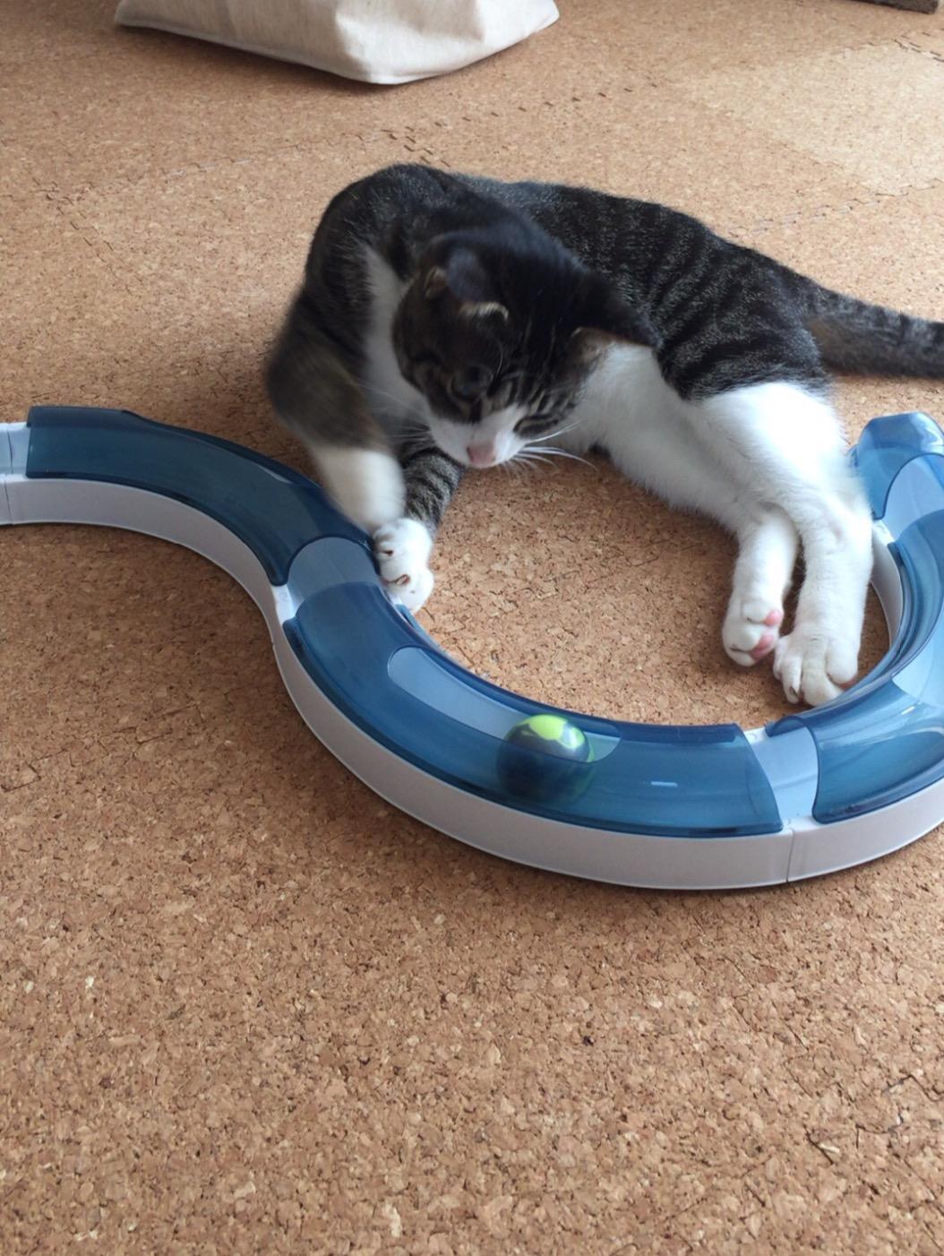 Weihnachtsgeschenk gelungen