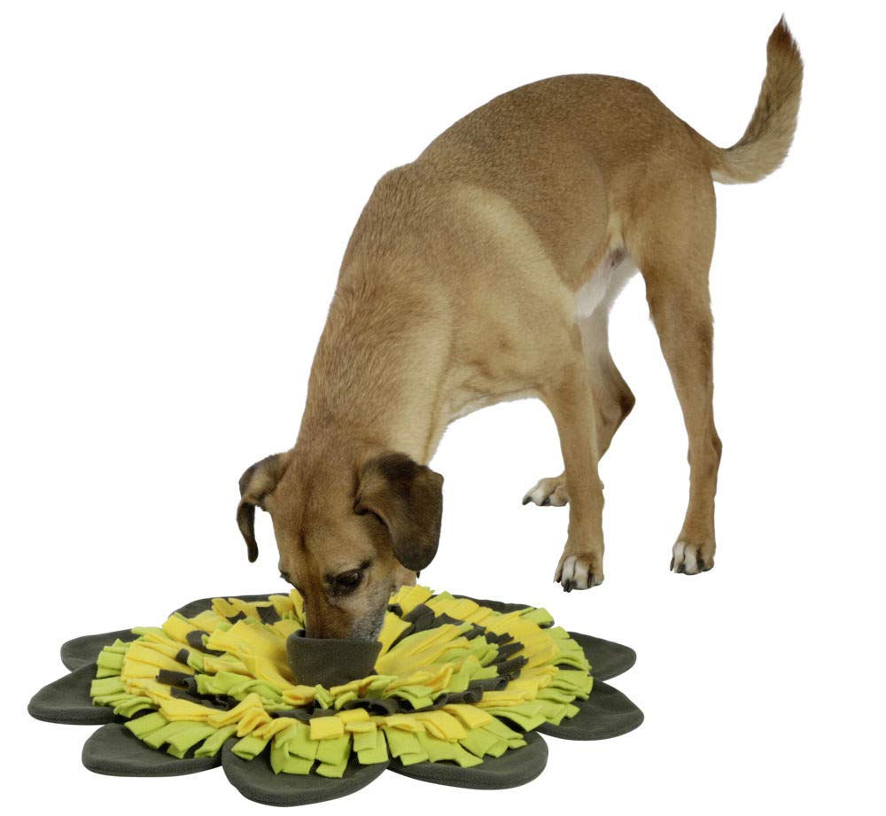 kerbl-pet-schn-ffelteppich-sunflower-f-r-hund-und-katze-gelb-gr-n-40-cm image 4