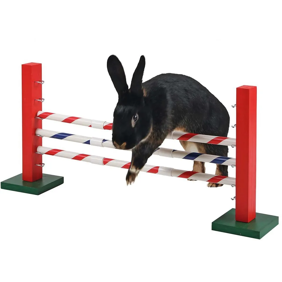 kerbl-pet-agility-steilsprung-f-r-nager-70-x-5-x-35-cm-h-henverstellbar image 1
