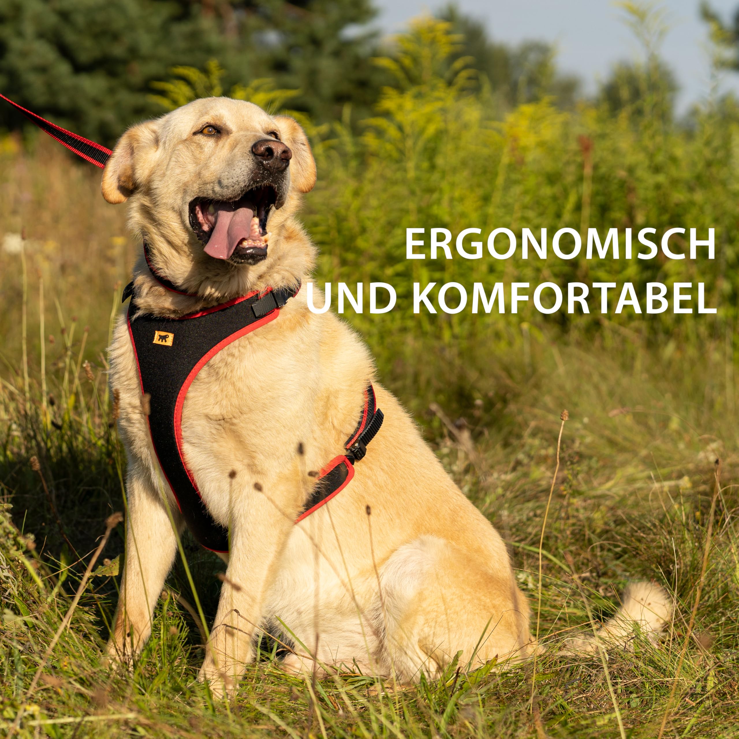 ferplast-ergocomfort-hundegeschirr-xs-rot-f-r-kleine-hunde-bis-15-kg image 3
