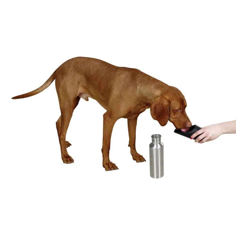 kerbl-pet-edelstahl-reisetrinkflasche-750-ml-wasserspender-f-r-unterwegs image 3