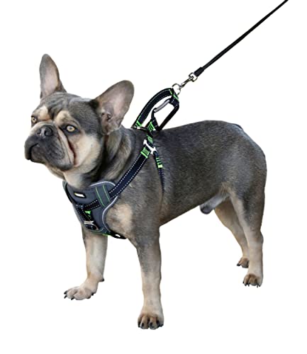kerbl-pet-autosicherheitsgeschirr-schwarz-l-65-85-cm-25-mm image 8
