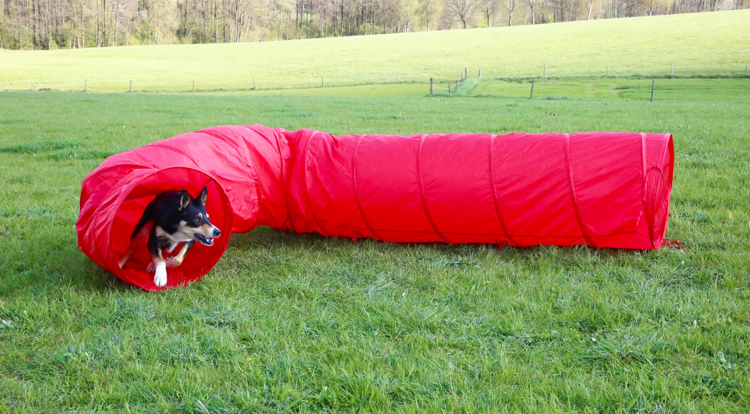 kerbl-pet-agility-hundetunnel-5-m-x-60-cm-rot image 7
