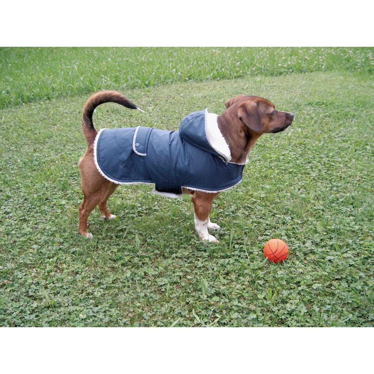 kerbl-hundemantel-teddy-48-cm-bauch-53-68-cm image 4