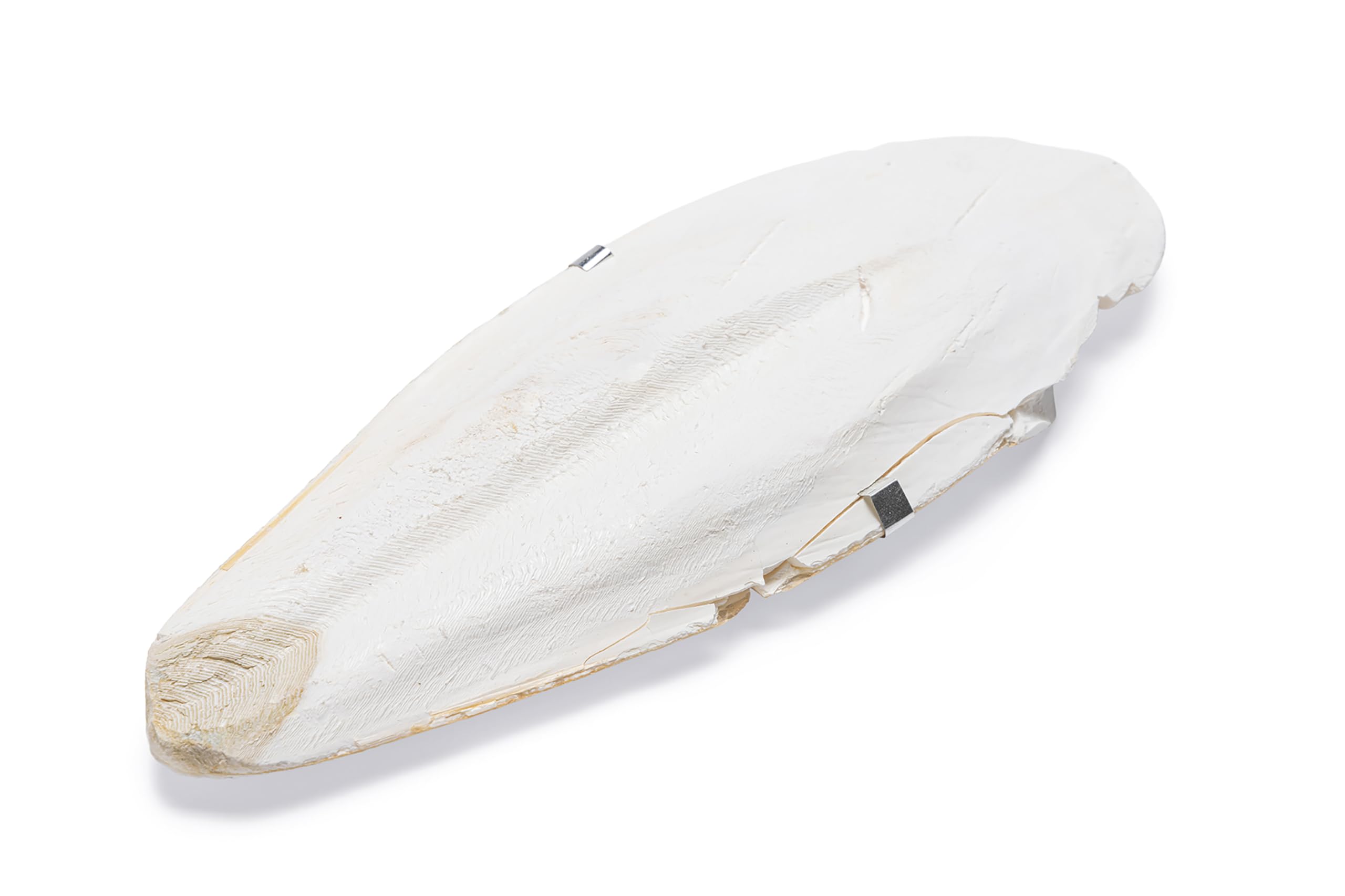 karlie-sepiaschale-16-cm-mit-halterung-f-r-v-gel-und-reptilien image 3