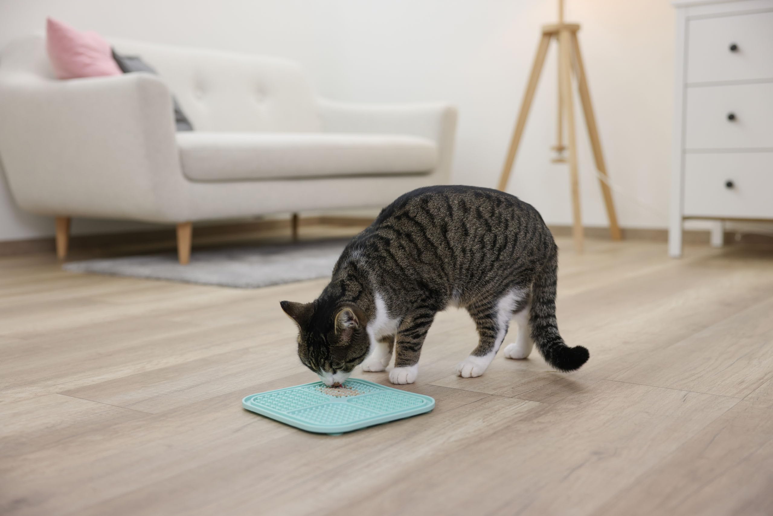 kerbl-pet-schleckmatte-20x20-cm-leckmatte-f-r-hund-und-katze-t-rkis image 6