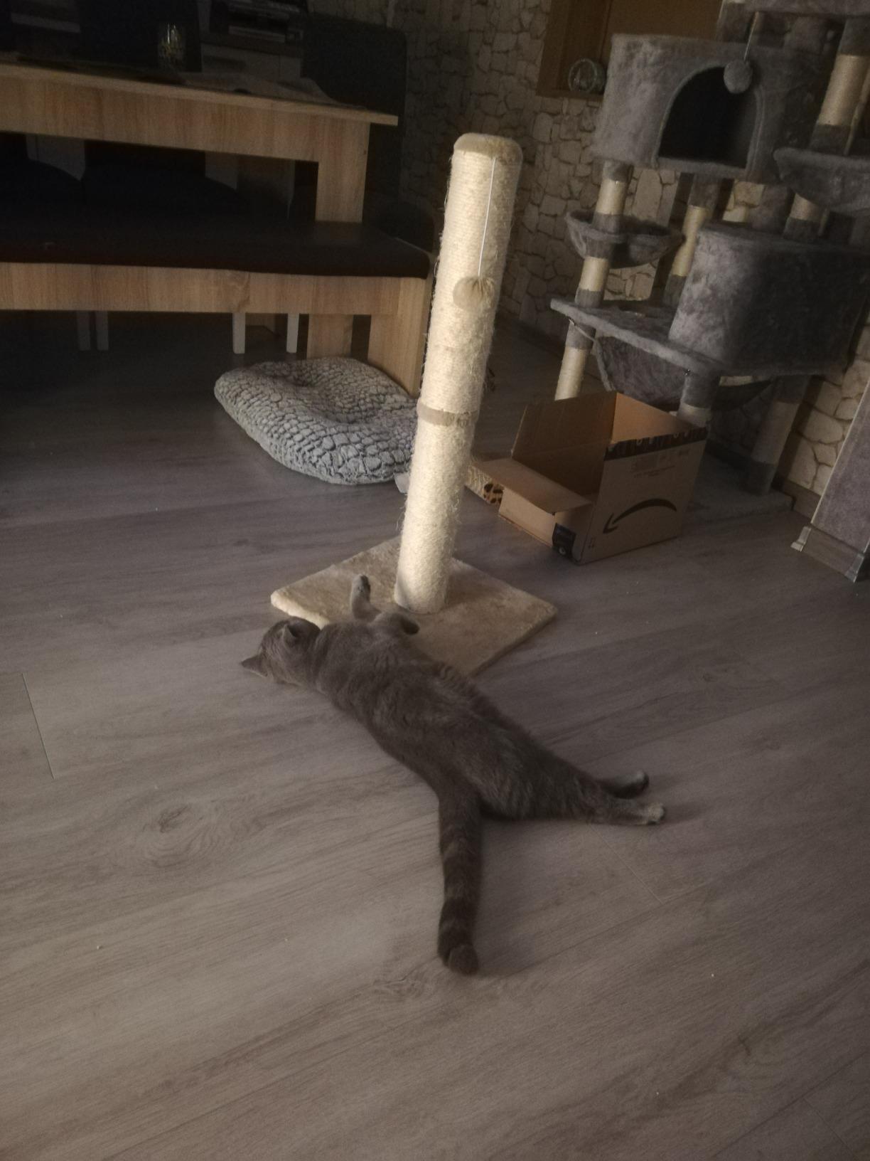 Sofa ist gerettet!