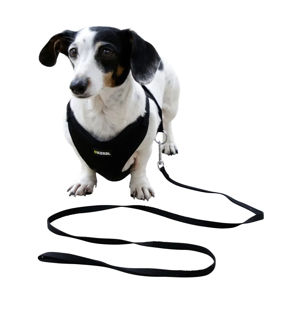 kerbl-pet-welpengeschirr-mit-leine-schwarz-24-44-cm-10-mm image 1