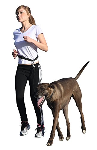 kerbl-pet-joggingleine-active-mit-h-ftgurt-1-1-40-m image 5
