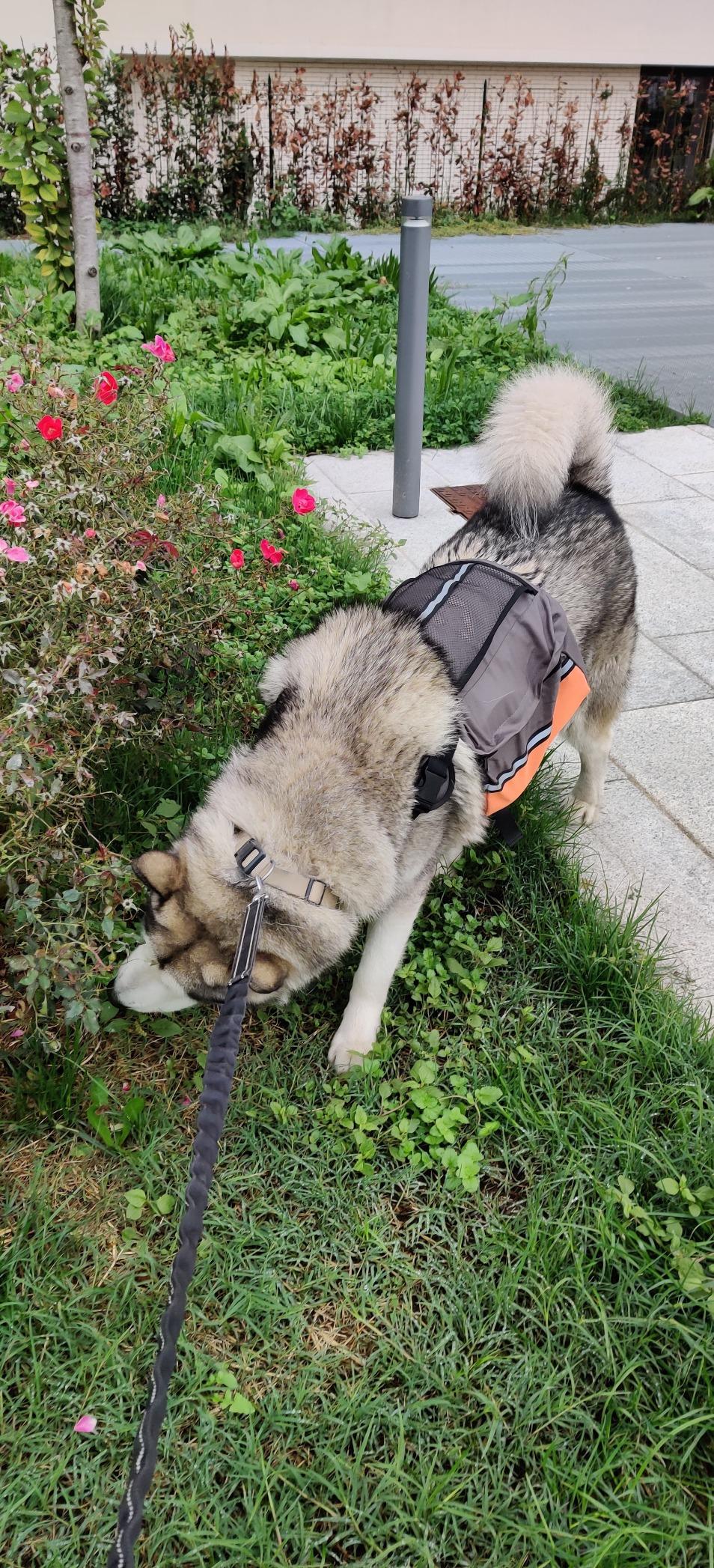 Gut für Wanderungen