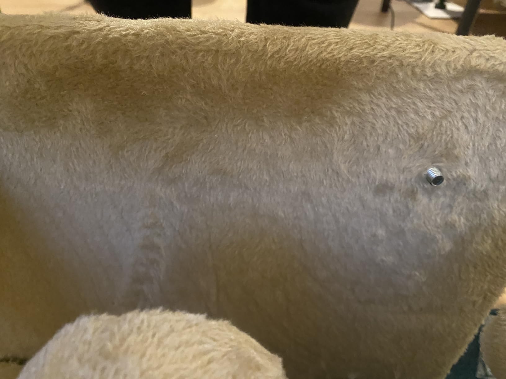 Gut für Katze und Hund