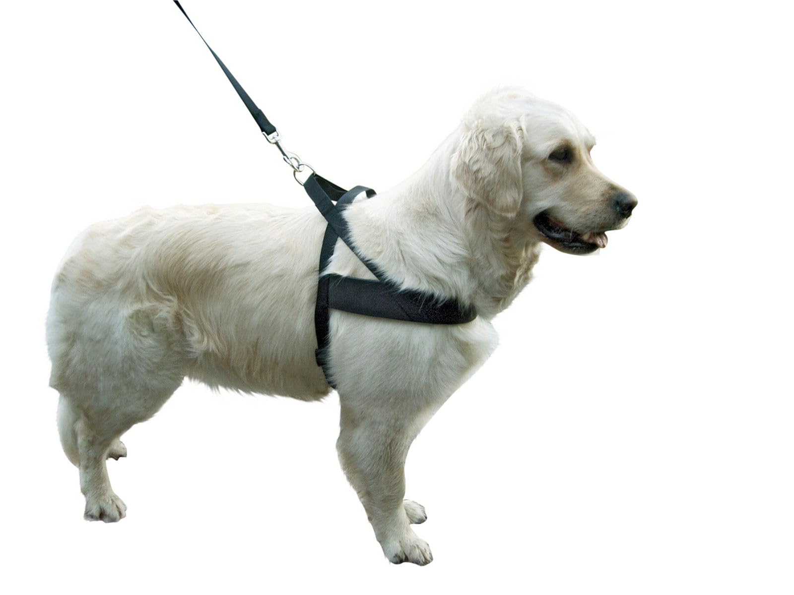 kerbl-pet-miami-plus-hundegeschirr-60-75-cm-hals-40-cm-40-mm-schwarz image 2