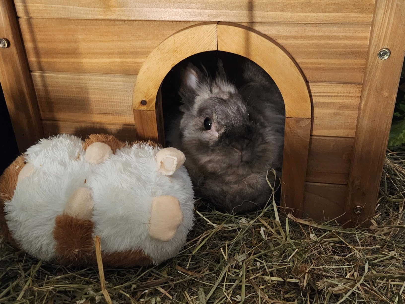 Schön, aber dünnes Holz