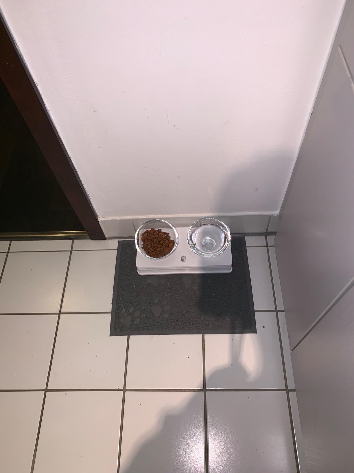 Unsere Katze frisst entspannter