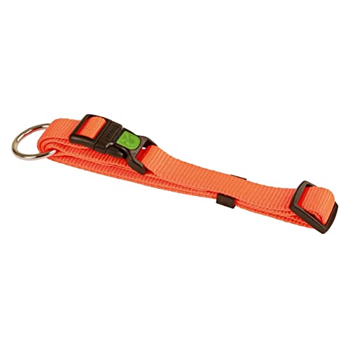 kerbl-pet-hundehalsband-miami-schwarz-10-mm-halsumfang-20-35-cm-nylon-verstellba image 4