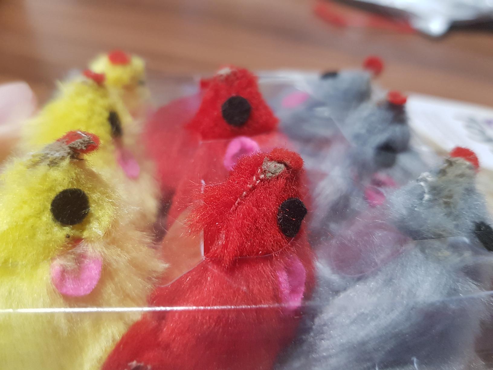 Eine Maus schon auf