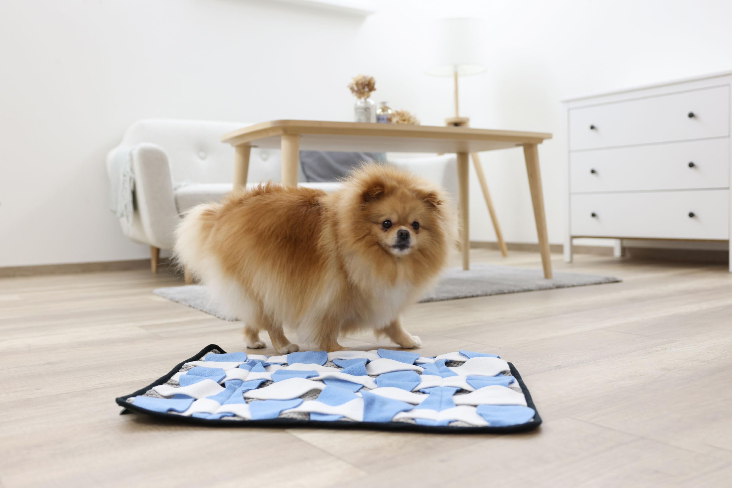 kerbl-pet-schn-ffelteppich-60x45-cm-grau-wei-blau-suchspiel-f-r-hunde image 5