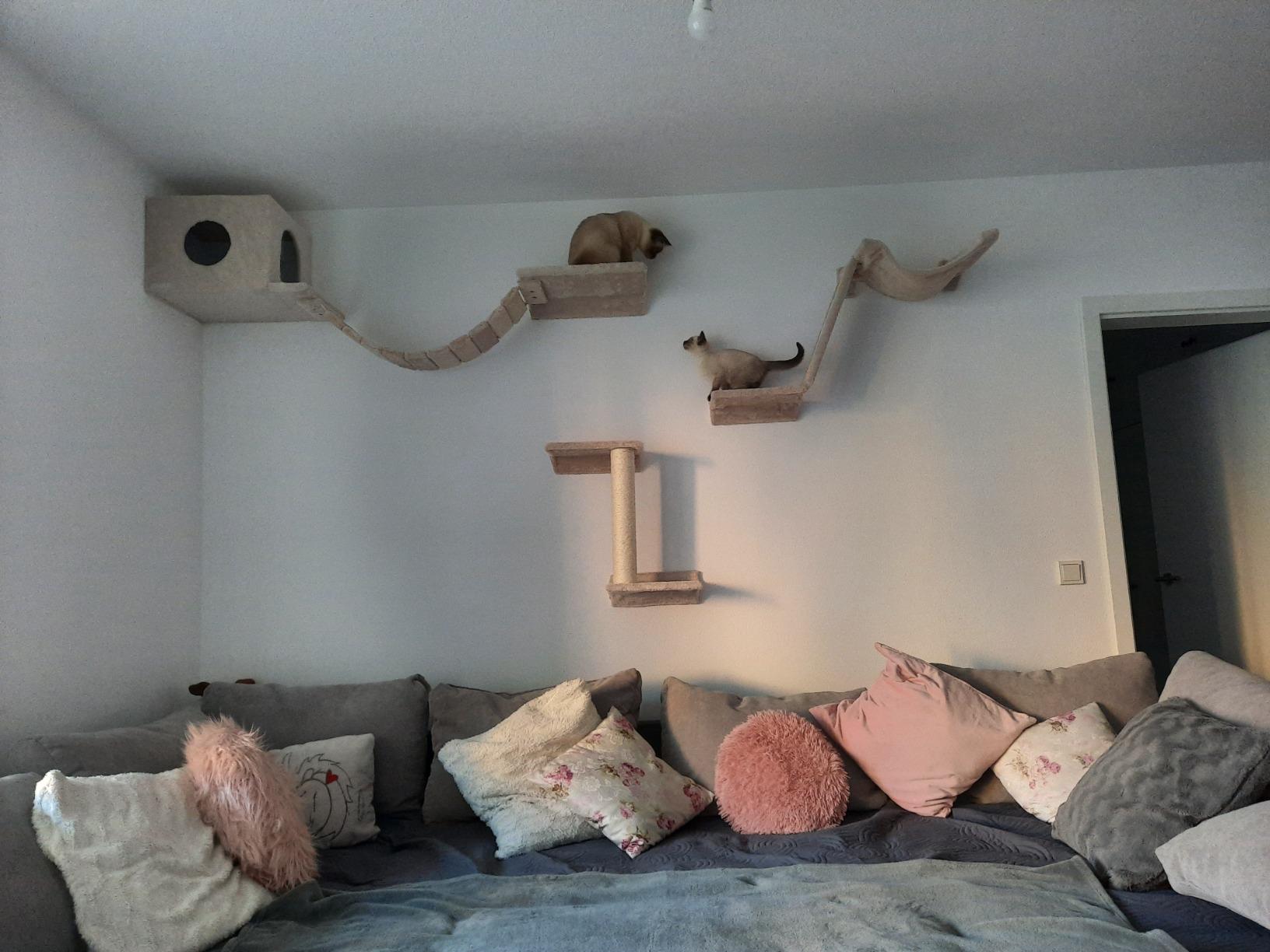 Nicht für schwere Katzen