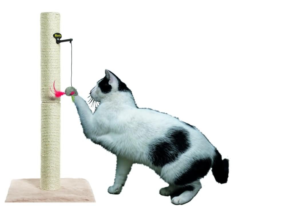 karlie-kitty-fix-katzenspielzeug-f-r-kratzb-ume-23-x-4-x-4-cm-kunststoff image 1